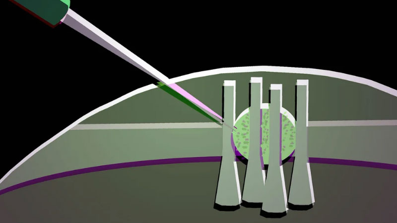 Οι επιστήμονες δημιούργησαν από μια σταγόνα υγρού κρυστάλλου έναν ευέλικτο οπτικό τρανζίστορ για μελλοντικά φωτονιατικά χิปς