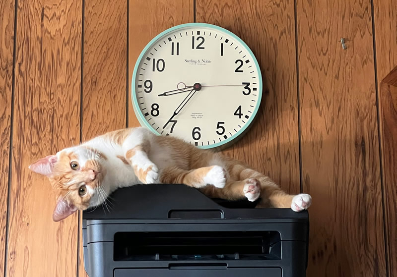 Η Windows 11 θα σταματήσει την υποστήριξη των παλιών οδηγών εκτυπωτών V3 και V4 με το επόμενο ενημερωτικό πρόγραμμα.