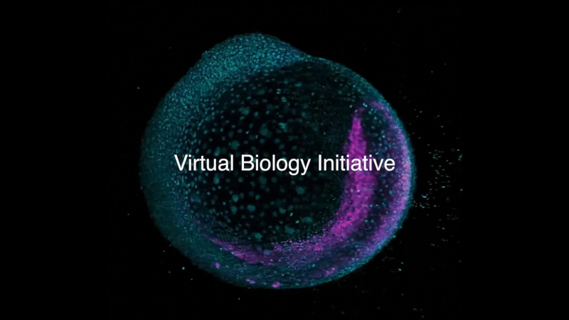 Το Biohub του Μάρκου Ζουκέρμπεργ έχει ξεκινήσει την επιτάχυνση της θεραπείας όλων των ασθενειών, χρησιμοποιώντας μοντέλα AI κυττάρων