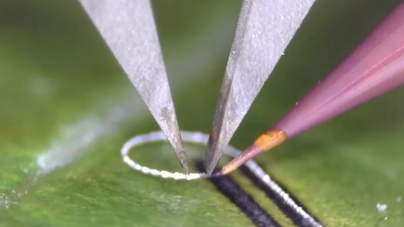 Οι μηχανικοί δημιούργησαν μια συσκευή που επιτρέπει την τοποθέτηση ηλεκτρονικών εξαρτημάτων σε ζωντανούς ιστούς και ιατρικά εμφυτεύματα χωρίς βλάβες