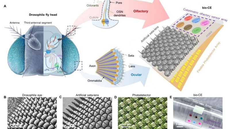 Η Κίνα ανέπτυξε ένα "οφθαλμό-μύλο" για αεροπλάνα χωρίς χειριστή, που εξασφαλίζει πανοραμική όραση και αισθητήρα μυρωδιών
