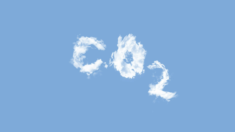 Σύχες χιλιάδες μετατράπηκαν σε δεκάδες εκατομμύρια: η τεχνητή νοημοσύνη επιτάχυνε την αύξηση της ζήτησης για πιστώσεις άνθρακα από τις τεχνολογικές γιγάντες