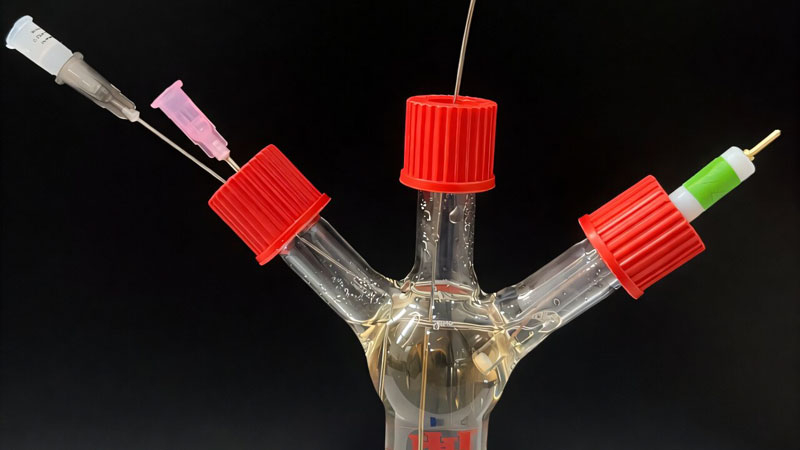 Οι βακτήρια αναγκάστηκαν να παράγουν ηλεκτρισμό όταν βρίσκουν επικίνδυνα υλικά—και το έκαναν «συμπίεσμα» τα μέσα σε ένα κύτταρο.