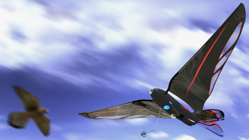 Ένας μηχανικός ετοίμασε μια ρομποτική πουλάδα βάρους 10 γραμμάρια, η οποία μπορεί να περιστρέφεται μέχρι τα 31 χλμ/ώρα και να ελέγχεται μέσω smartphone.