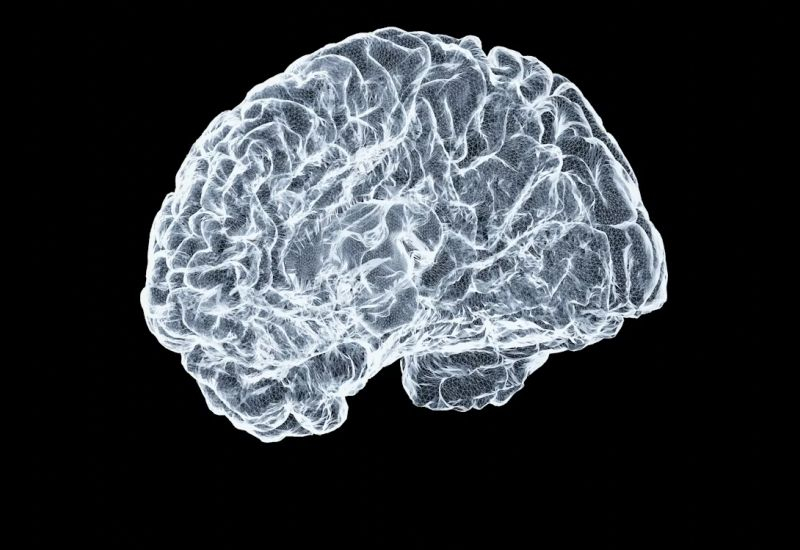 Οι κινεζικές εγκεφαλικές εμφυτεύσεις απέχουν περίπου τρία χρόνια από το αμερικανικό Neuralink.