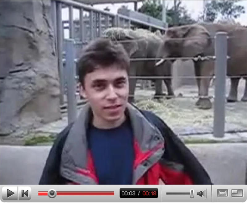 Οι πρώτες βίντεο από το YouTube μπήκαν στη συλλογή του μουσείου